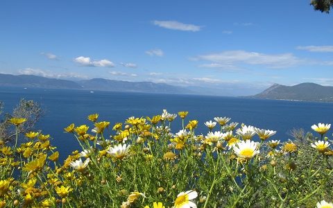 Греция весной. Остров Эвбея. Фото май 2015 г.